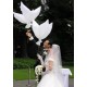 Свадебные надувные голуби