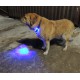 Подсветка для собаки