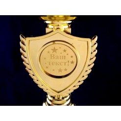 Кубок с индивидуальной гравировкой "Золотая чаша"