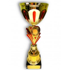 Кубок с индивидуальной гравировкой "Золото с красным"