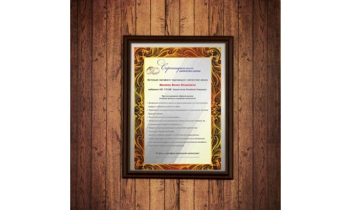 Подарочный диплом (плакетка) *Сертификат соответствия жениха*