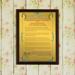 Подарочный диплом (плакетка) *Инструкция по эксплуатации жены*