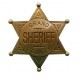 Знак окружного шерифа