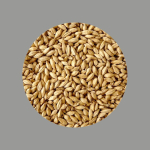t52FVaJuPKpvljwGjvkZTvkKEcCDdEZX150_150-1